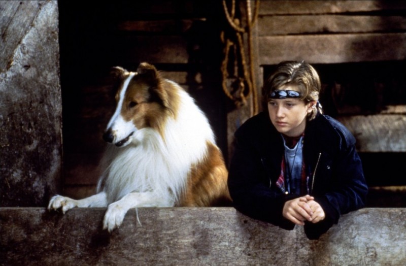 Lassie 1994 Starring Michelle Williams Charlie Hofheimer Tom Guiry