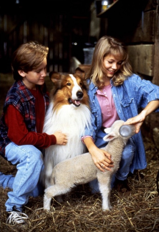 Lassie 1994 Starring Michelle Williams Charlie Hofheimer Tom Guiry