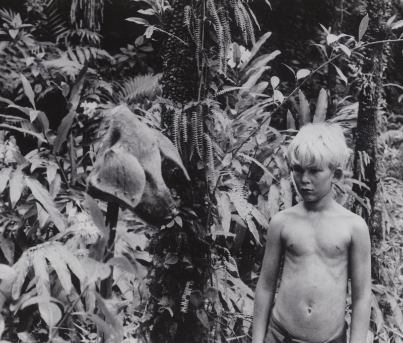 12. Lord of the Flies. 