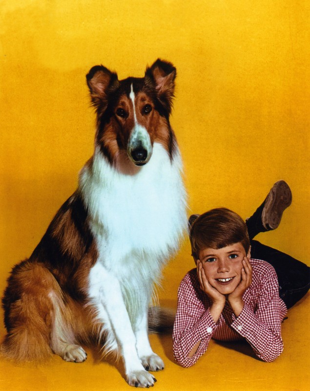 Lassie: The Wayfarers (1964) - Movie