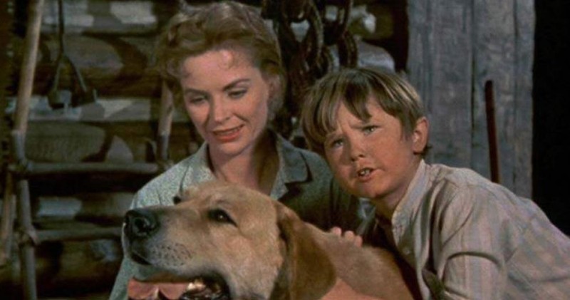 Moms boys films. Old Yeller (1957).